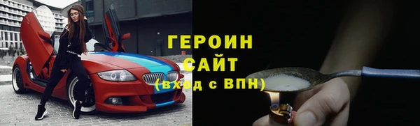 дживик Ельня