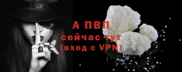 apvp Инта