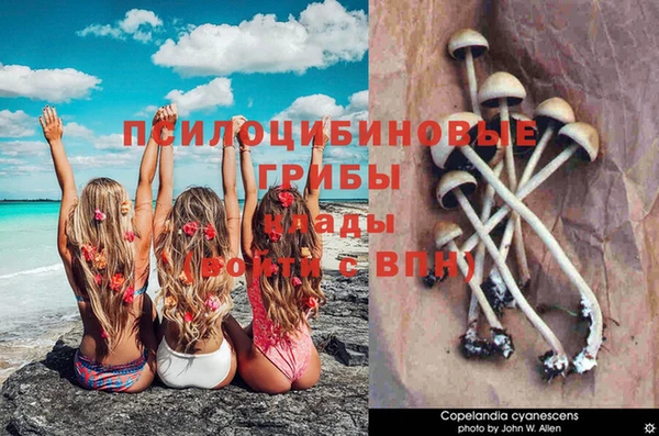 круглые Инсар