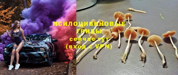 круглые Инсар