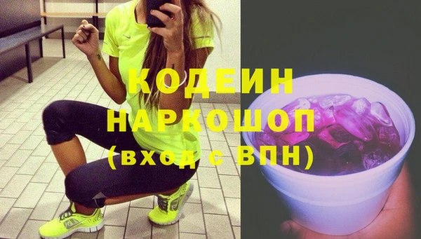 apvp Инта