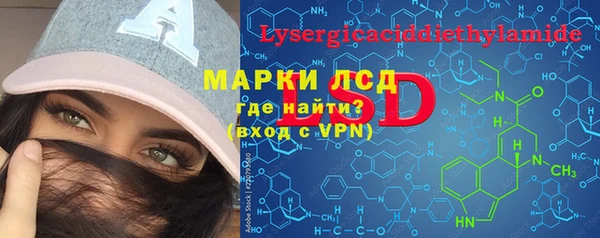 apvp Инта
