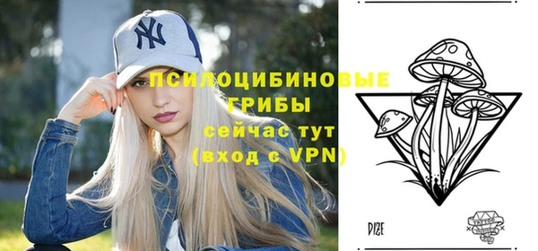 apvp Инта