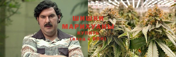 круглые Иннополис