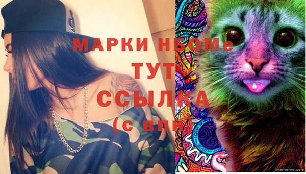 круглые Иннополис