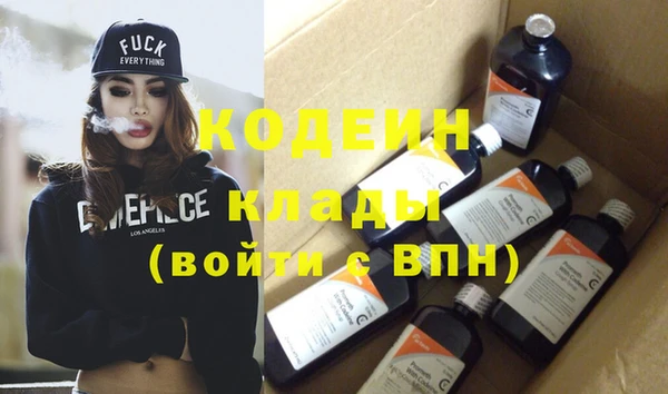 apvp Инта